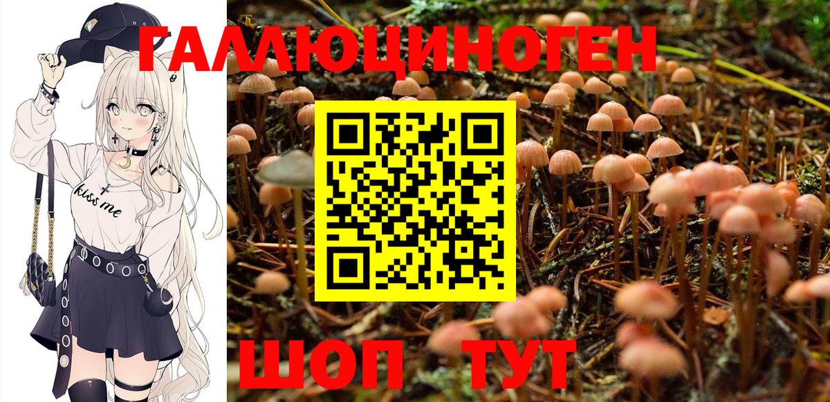 Галлюциногенные грибы ЛСД Жуковский